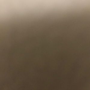 Meet your Posher, Bailey